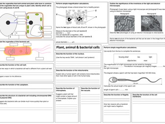edexcel GCSE biology B2 revision sheets