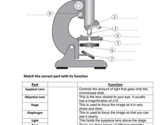 The Microscope