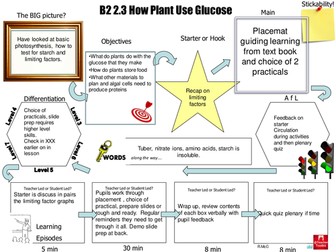 B2 2.3 How do plants use glucose