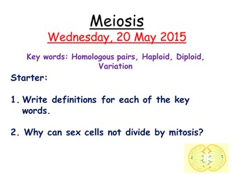 Meiosis