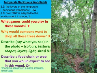 temperate deciduous forests