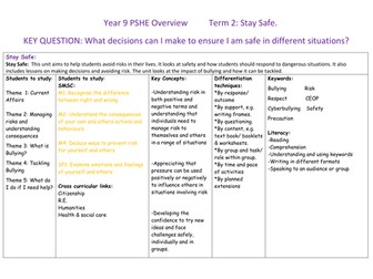 Year 9 PSHE scheme of work on safety and bullying