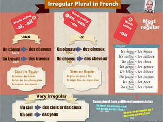 Irregular Plural in French