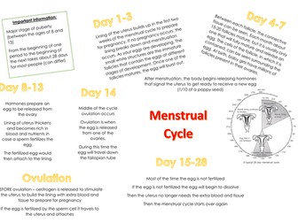 Menstrual Cycle- OCR