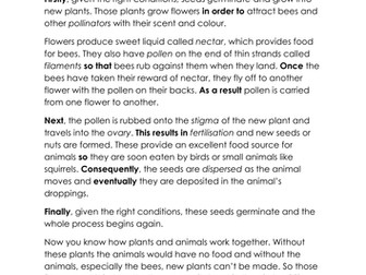 Explanation text: Flowering plant life-cycle.