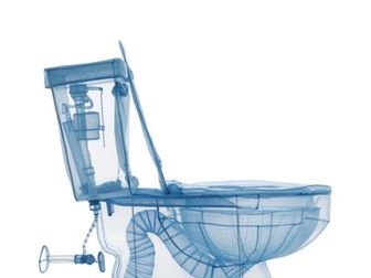 What is art? resource 1: Toilet