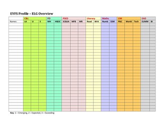 EYFS Profile - ELG (whole class overview)