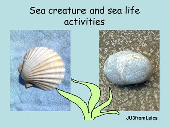 SEA CREATURES and sea life activities. Home or school.
