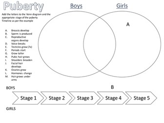 Puberty Worksheet