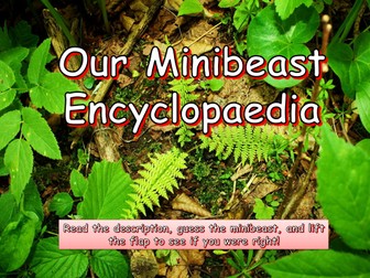 Make a Class Minibeast Encyclopaedia