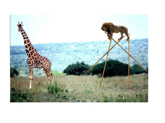 Creative writing -being different