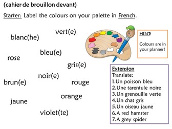 French Adjective Agreement and Placement