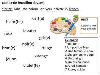 French Adjective Agreement and Placement