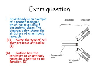 AQA Immunity lesson 3