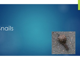 Snails