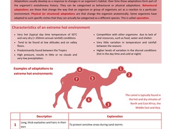 60 Second Guide - Animal Adaptation (Extreme Hot)