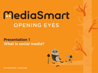 Social Media & Advertising (11-16 yrs)