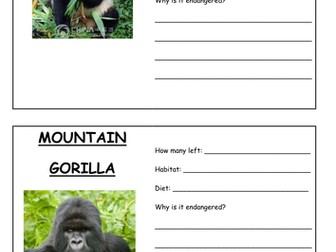 Human Impact on Ecosystems Low Ability