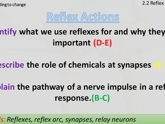 AQA B1.2.2 Reflex Actions