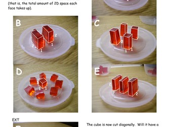 Jelly Surface Area / Scatter Diagram