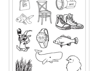  Activity sheets for sh, ch, th, wh, ck words (33 pages)