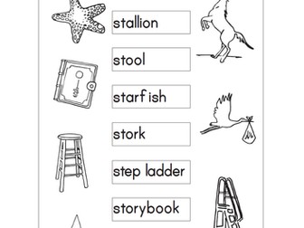 Making Words with st, sn, sm, sp, sc, sk (30 pages)