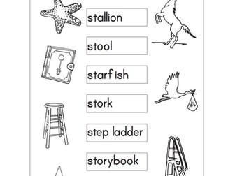 Making Words with st, sn, sm, sp, sc, sk (30 pages)