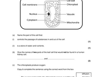 Aqa Ks4 Gcse Biology (science) Cells Bundle 