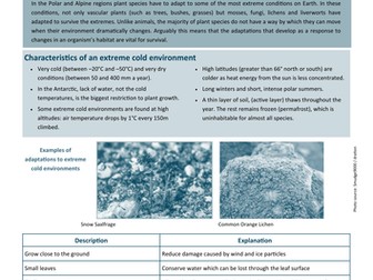 60 Second Guide- Plant  Adaptations (Extreme Cold)