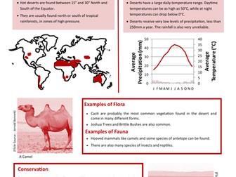 60 Second Guide- Hot Desert Biome