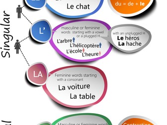 French Definite articles