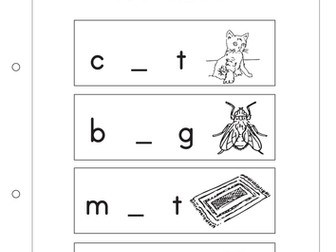 My CVC Workbook (46 pages)