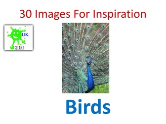 Photographs for inspiration