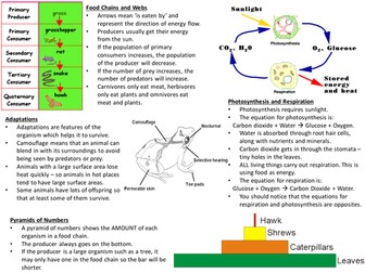 Classification, food webs, adaptations and photosynthesis revision sheet