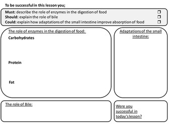 Enzymes, Bile and Villi Worksheet for GCSE (Edexcel)