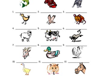 18 Animals Vocabulary IDs Worksheet for Any Language