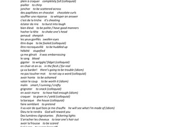 Beni ou le Paradis prive  - vocab and questions booklet 