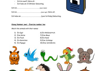 German revision - greetings, colours, animals