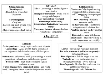The Sloth - a comprehensive snapshot