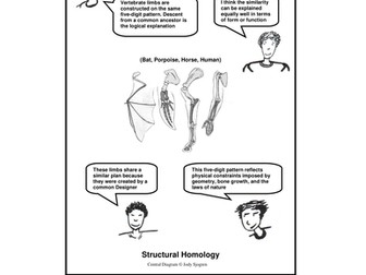 Homology