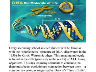 DNA - a designer molecule