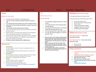 Toys Medium term planning