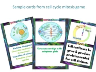 Cell Cycle Mitosis card game