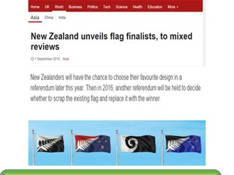 Marketing starter- Which flag