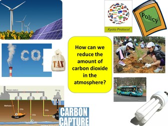 Carbon offsetting and storage lesson