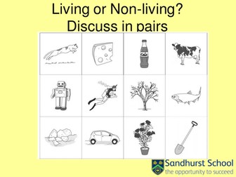 7Aa Life Processes, Exploring Science, Working Scientifically