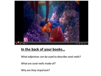 Coral Reefs Lesson