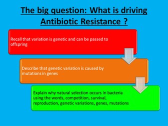 Antibiotic Resistance 