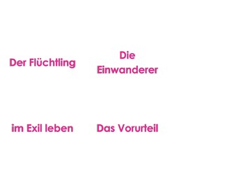 Einwanderung - immigration German