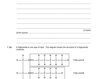 AQA A level Biology new spec 1.5 Lipids